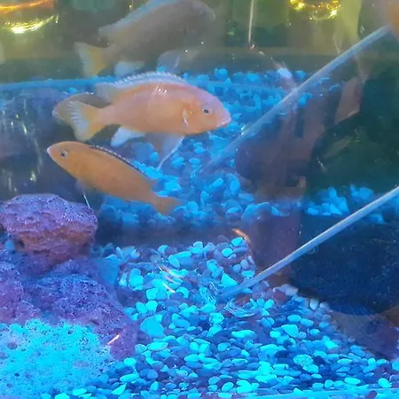 Kerme Ottoman Hotell Akyaka (Mugla)