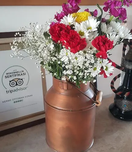 Kerme Ottoman 4* Akyaka